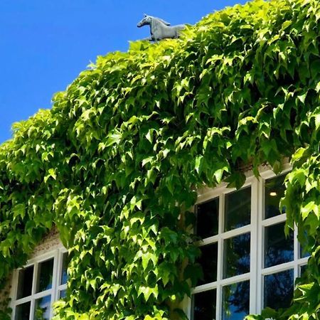 Apartment Gaestehaus Schloss Bothmer شوارمستيديت المظهر الخارجي الصورة