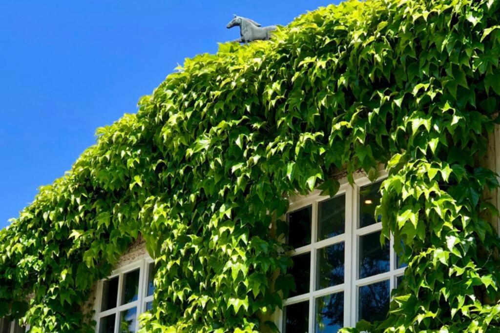 Apartment Gaestehaus Schloss Bothmer شوارمستيديت المظهر الخارجي الصورة